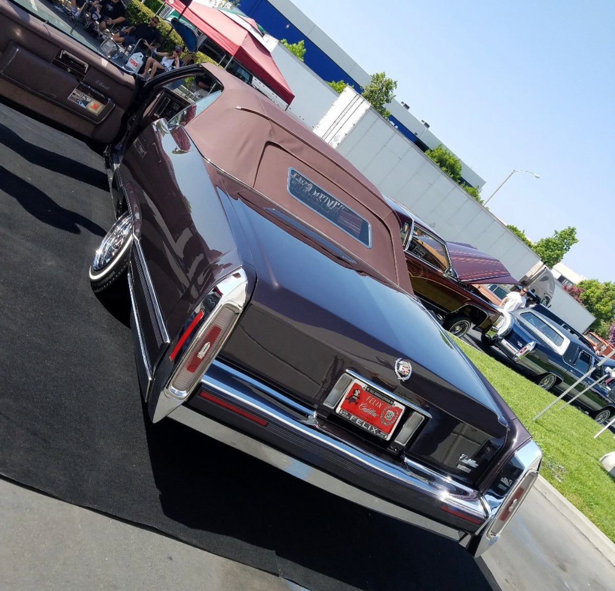 1984 Le Cabriolet Conversion- Plum Canvas w/ 26x9" Gangster Window